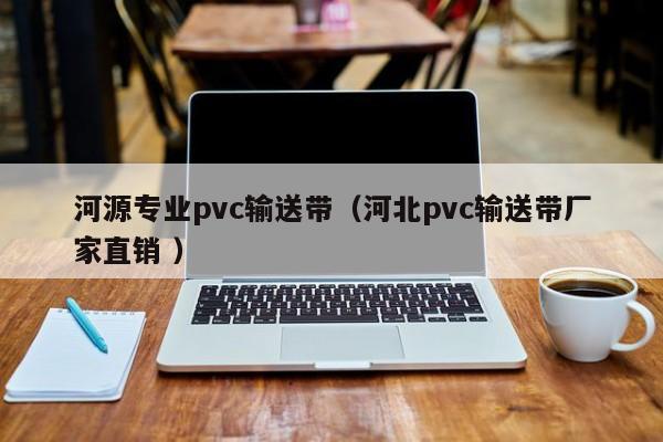 河源專業pvc輸送帶（河北pvc輸送帶廠家直銷 ）